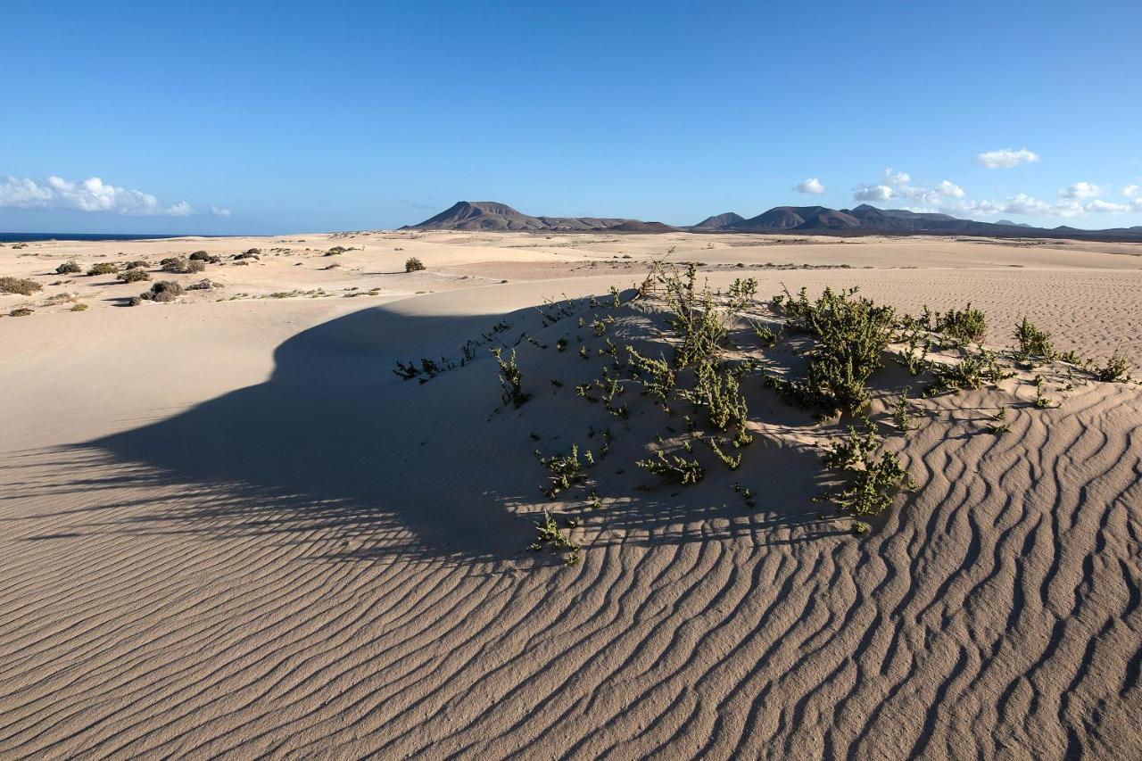 Casa Yoaki Lejlighed Corralejo Eksteriør billede